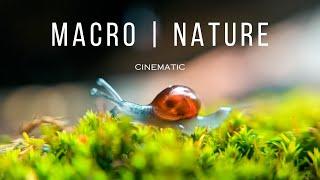 Macro in NATURE Cinematic video