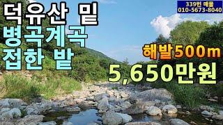 (339번 매물)덕유산 남쪽 해발500m 고지대의 밭.병곡계곡 80m접.2차선도로 접.완전 청정지역.226평.주택허가 가능.농촌체류형쉼터나 농막가능.전기와 인터넷 인입가능.자연힐링