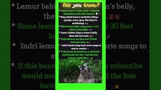 Did You Know Lemurs Are Nature’s Strangest Little Ninjas 