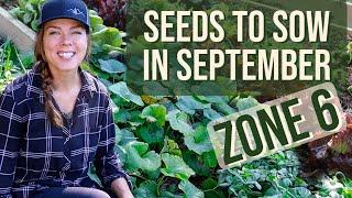 Vegetable & Cover Crop Seeds to Plant in September: Zone 6