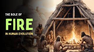 The Role of Fire in Human Evolution | Discovery of Fire | When did Humans First Control Fire