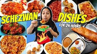 I only ate SCHEZWAN Dishes For 24 Hours |Food challenge| Eating different types of Schezwan dishes