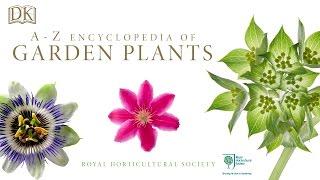 RHS A-Z Encyclopedia of Garden Plants