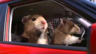 New 2010 Kia Soul Hamster Commercial - Music Fort Knox