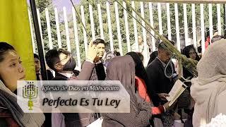 Perfecta Es Tu Ley