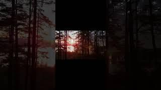 Música Suave Para Dormir, Estudar, Meditar e Sonhar #shorts #shortvideo #feedshorts #feed #fé #feeds