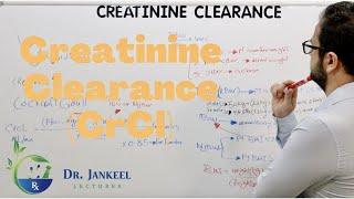 Creatinine Clearance (CrCl) Calculations