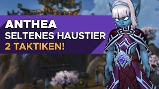 Anthea  Daily Quest mit seltenen Haustier: Plappergei - Haustierkampf 9.1 [WoW]