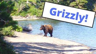 Should you hike solo?  Backpacking in Grizzly Bear Country.