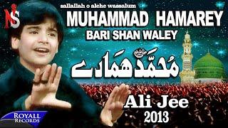 Ali Jee | Muhammad Hamarey | 2013 | محمد ہمارے