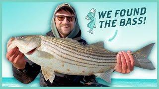 Fall Run Striped Bass Fishing & My Go-To Surf Fishing Lures