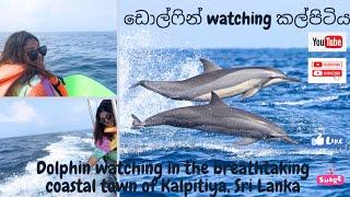 Ultimate Dolphin Watching Adventure in Sri Lanka Kalpitiya. An Unforgettable Journey, Part - II