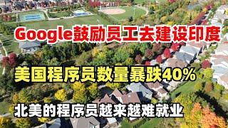 Google鼓励员工去建设印度，北美的程序员越来越难就业了，美国程序员数量暴跌40%