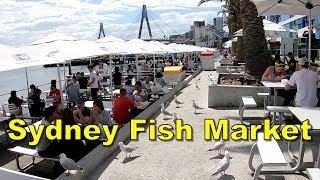 Sydney Fish Market - Sydney Australia