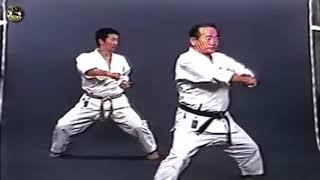 SHOTOKAN karate - The Nakayama - Tekki Shodan Kata and Bunkai (Каратэ Шотокан Накаямы)