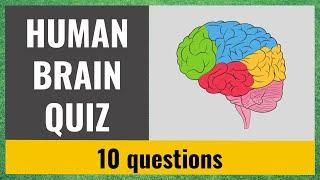 The Human Brain Quiz - Test your knowledge - 10 trivia questions