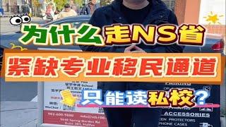 为什么走NS省紧缺专业移民通道只能读私校？