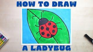 How to Draw a Ladybug - Easy for Kids