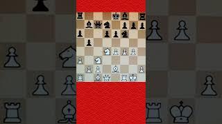 Open Sicilian #professionalchessplayer