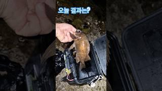3월23일 결과 #남해 #생활낚시 #농촌브이로그 #볼락 #밤낚시 #찌낚시 #fishing