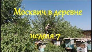 Москвич в деревне Неделя 7