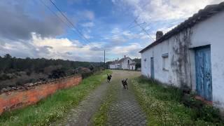 Life in an Abandoned European Village