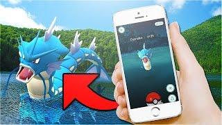 HOW TO CATCH A GYARADOS!! FIND ALL RARE POKEMON IN "POKEMON GO"