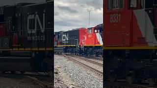 Look at what I got on the NS in Muncie 5-23-25 #norfolksouthern #canadiannational #railfan