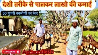 50 बेहतरीन गुज़री बकरियों का रेवर ||लाखो की कमाई ||agrisunilSRB