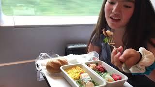 Sapsan bullet train:  first class meal from Moscow to St Petersburg