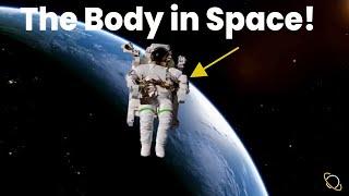 How Influential is Space Travel On Our Mind, Body and Souls?