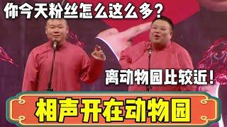 【相声开在了动物园】岳云鹏：你今天粉丝怎么这么多？孙越：离动物园比较近！| 德云社相声大全 | #郭德纲 #于谦 #岳云鹏 #孙越 #张鹤伦 #郎鹤炎 #高峰 大收录，助眠相声