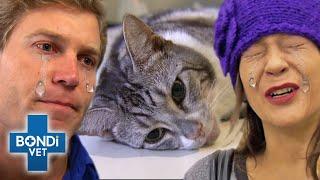 Top 5 Hardest Goodbyes  | Bondi Vet Top 5 | Bondi Vet