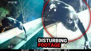 Most Disturbing Camping Encounters EVER Caught On Camera