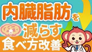 内臓脂肪をラクに落とす食べ方のコツを解説【医師監修】