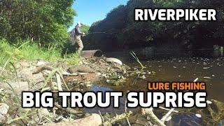 Big trout slams tiny lure - CHUNK alert!