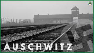 AUSCHWITZ: The Complete DISTURBING Tour | WARNING: Actual footage