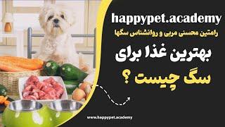 بهترین غذا برای سگ چیست ؟ / غذای سگ