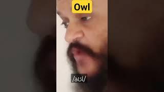 Owl: Correct Pronunciation