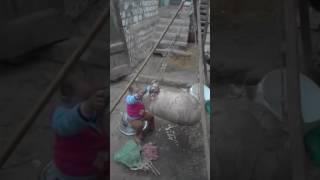 العسوله ندا عماد