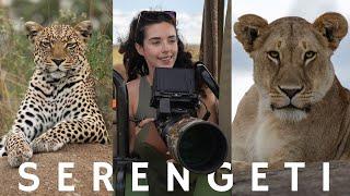 SAFARI OF A LIFETIME in Serengeti National Park, Green Season