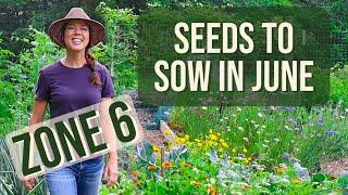 What to Plant in June- Zone 6 Vegetable Garden