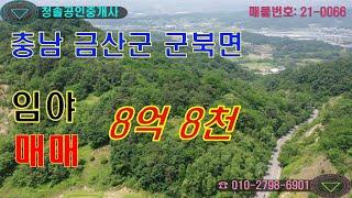 충남 금산군 군북면 임야 매매