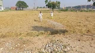 Environment friendly Paddy Stubble decomposition.#SaketKapurExperienceSpeaks