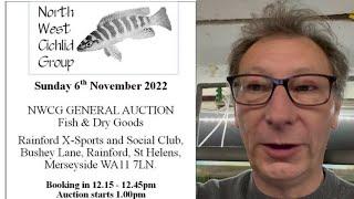 North West Cichlid Group Auction November 2022