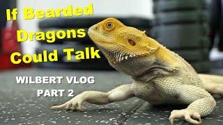 Pt 2 | If Bearded Dragons Could Talk It'd Be Like This | Wilbert Vlog