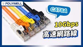 CAT6A 10Gbps 高速網路線｜POLYWELL 寶利威爾