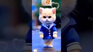 Cute Cat Dancing Video (2) #cat #dog #dogdance #catdance #youtubeshorts