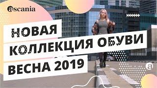 Ascania. Новая коллекция ВЕСНА 2019