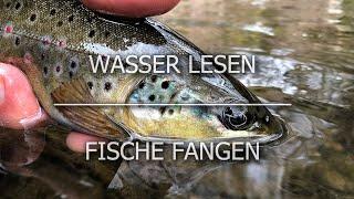 Wasser lesen - Fische fangen ... Fliegenfischen